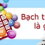 Bạch thủ lô là gì – Các phương pháp bắt bạch thủ lô chuẩn